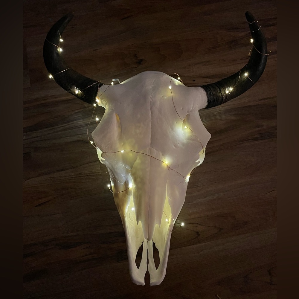 ✨💀 Buffalo skull euro mount - Picture 8 of 8